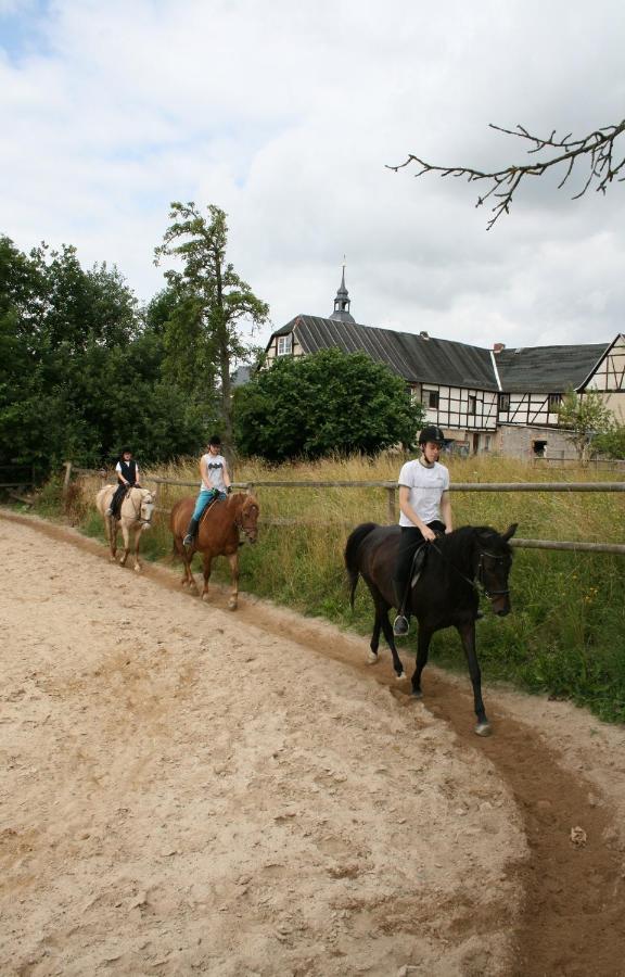 Pferd - Spass - Entspannung Staitz Kültér fotó