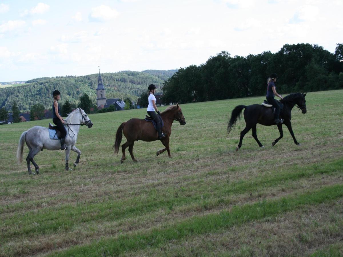 Pferd - Spass - Entspannung Staitz Kültér fotó