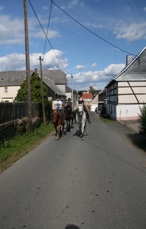Pferd - Spass - Entspannung Staitz Kültér fotó