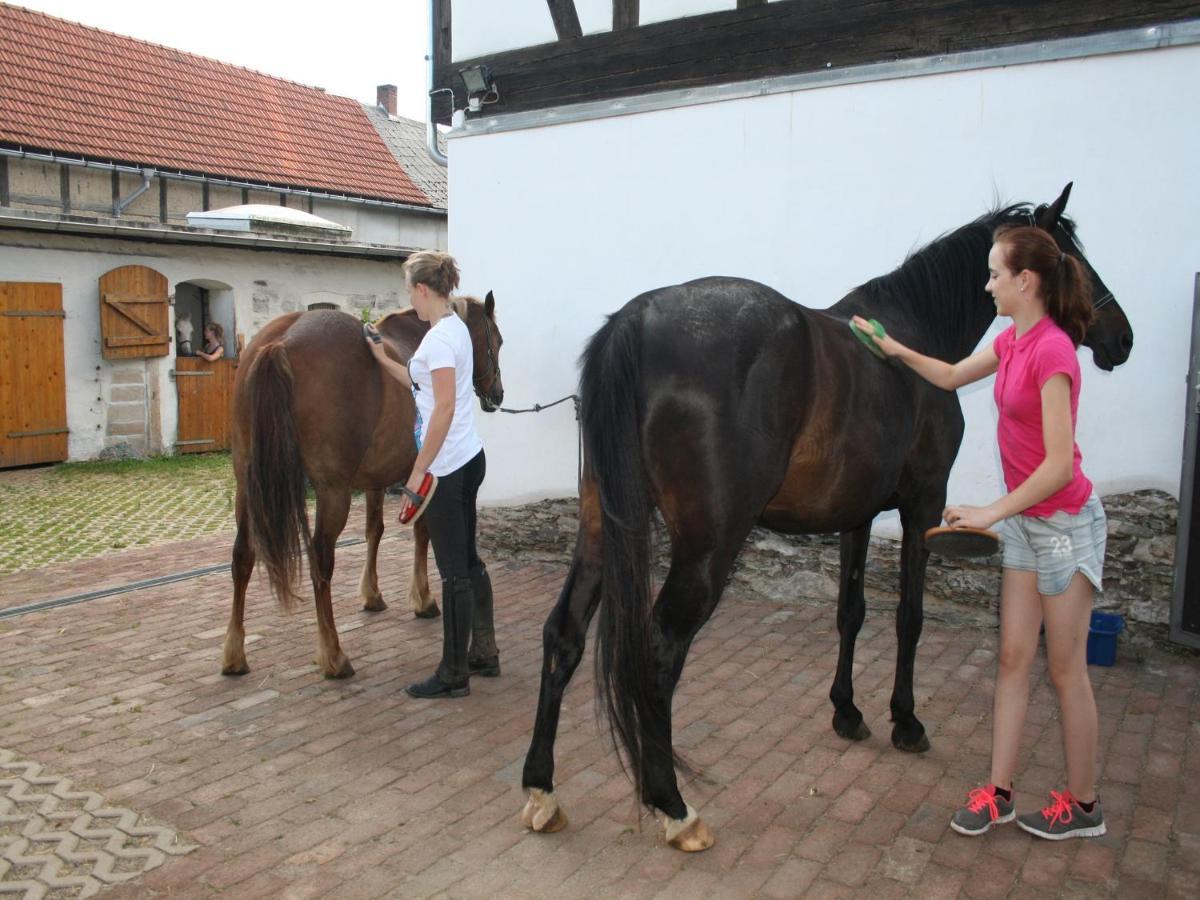 Pferd - Spass - Entspannung Staitz Kültér fotó